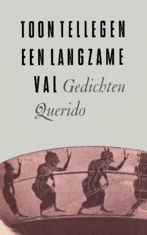 Cover of the book Een langzame val by J. Bernlef, Carl Olof Bernhardsson, Bob Langestraat