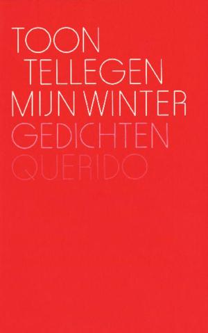 Cover of the book Mijn winter by Anna Woltz