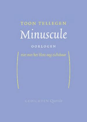 Cover of the book Minuscule oorlogen by Toon Tellegen
