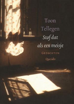 Cover of the book Stof dat als een meisje by Tomas Lieske