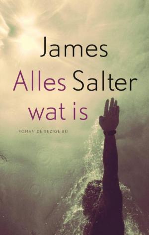 Cover of the book Alles wat is by Robert Harris