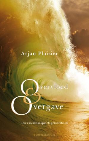 Cover of the book Overvloed en overgave by Herman Wiersinga