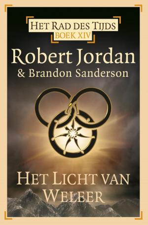 Cover of the book Licht van weleer by Amanda Hocking