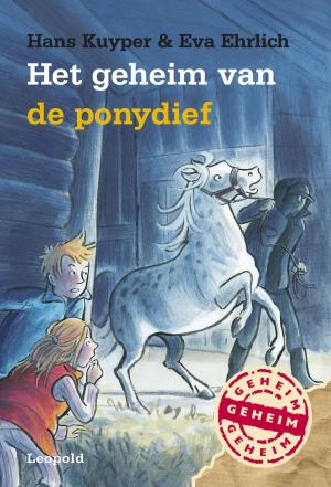 Cover of the book Het geheim van de ponydief by Brandon Mull, Garth Nix, Sean Williams