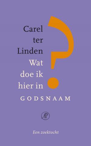 Cover of the book Wat doe ik hier in godsnaam? by Hella S. Haasse
