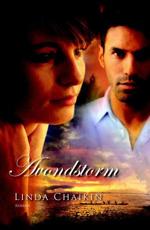 Cover of the book Avondstorm by David Sharp