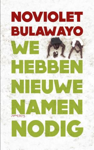 Cover of the book We hebben nieuwe namen nodig by Jonathan Franzen