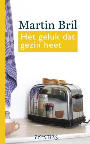 Cover of the book Het geluk dat gezin heet by Pia de Jong