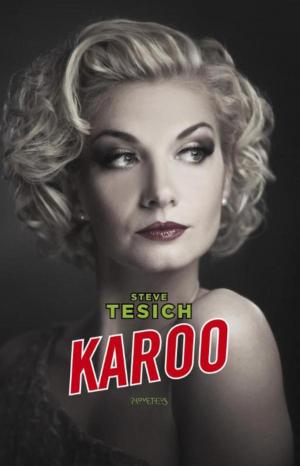 Cover of the book Karoo by Jussi Adler-Olsen