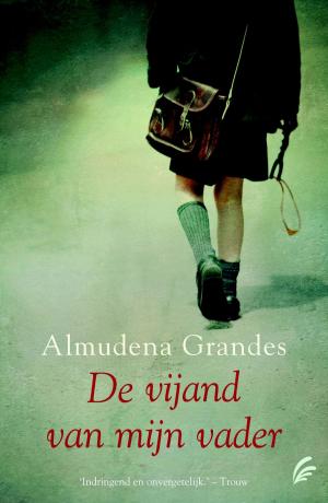 Cover of the book De vijand van mijn vader by Michel van Egmond
