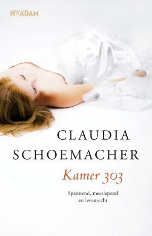 Cover of the book Kamer 303 by Pieter Jouke, Michiel Peereboom