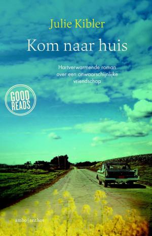 Book cover of Kom naar huis