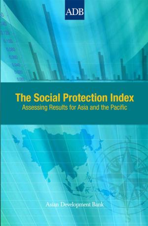 Cover of the book The Social Protection Index by Asian Development Bank