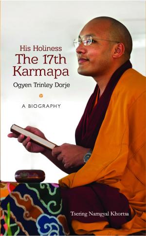 Cover of the book His Holiness The 17th Karmapa Ogyen Trinley Dorje by Kay Liddle