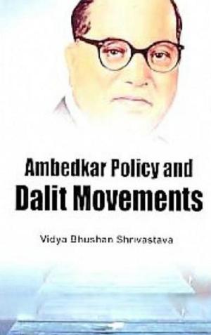 Book cover of Ambedkar Policy and Dalit Movements