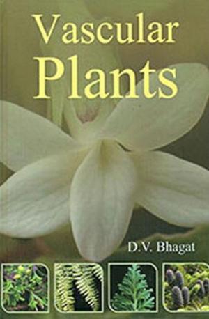 Cover of the book Vascular Plants by Farah Deeba