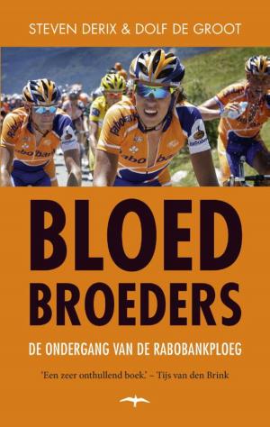 Cover of the book Bloedbroeders by Ohran Pamuk