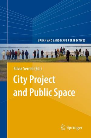 Cover of the book City Project and Public Space by R.L. Laningan
