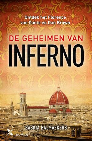 Cover of the book De geheimen van Inferno by Debbie Mancuso