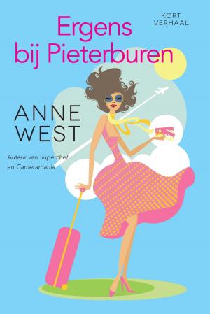 Cover of the book Ergens bij Pieterburen by Robin Benway