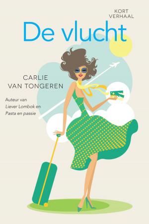 Cover of the book De vlucht by Kate Kraijo