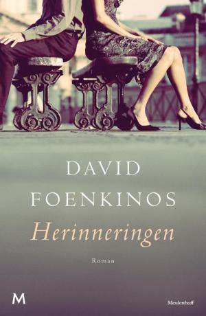 Cover of the book Herinneringen by Tammy Cohen