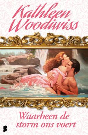 Cover of the book Waarheen de storm ons voert by Nora Roberts
