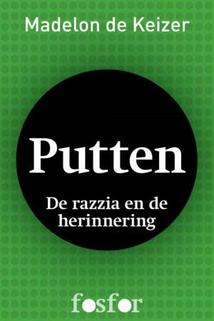 Cover of the book Putten by J. Bernlef