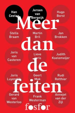 Cover of the book Meer dan de feiten by Sebastian Barry