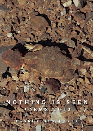 Cover of the book Nothing Is Seen by Zev Golan