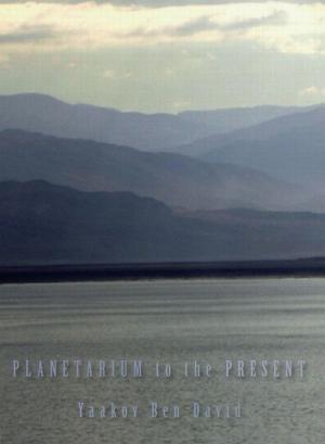 Cover of the book Planetarium to the Present by Simcha Raz