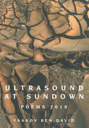 Cover of the book Ultrasound at Sundown by Miriam Klein Kassenoff, Anita Meyer Meinbach