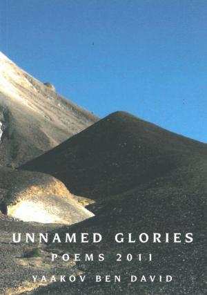 Book cover of Unnamed Glories