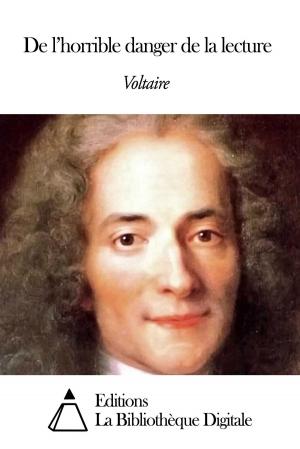 Cover of the book De l’horrible danger de la lecture by Albert de Broglie