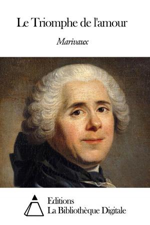 Cover of the book Le Triomphe de l'amour by Villiers de L’Isle-Adam Auguste de