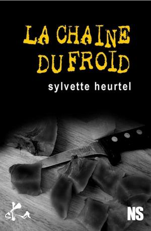 Cover of the book La chaîne du froid by Damien Ruzé