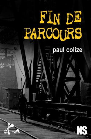 Cover of the book Fin de parcours by Sabrina Dumont