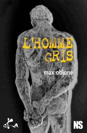 Book cover of L'homme gris