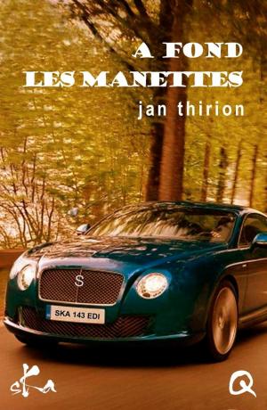 Cover of the book A fond les manettes by Frédérique Trigodet
