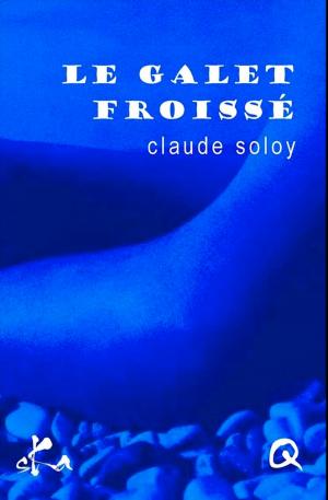 Cover of the book Le galet froissé by Damien Ruzé
