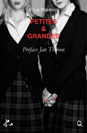 Cover of the book Petites et grandes by Jérémy Bouquin