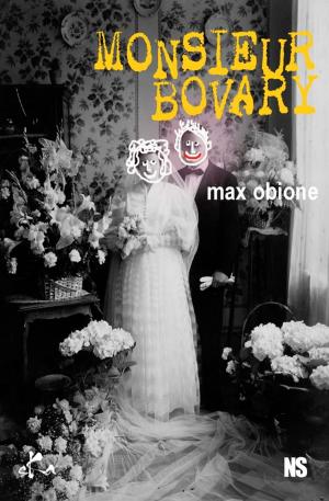 Book cover of Monsieur Bovary