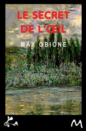 Book cover of Le secret de l'oeil