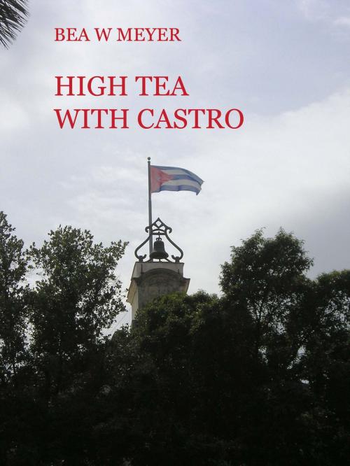Cover of the book HIGH TEA WITH CASTRO by Bea W Meyer, Bea W Meyer