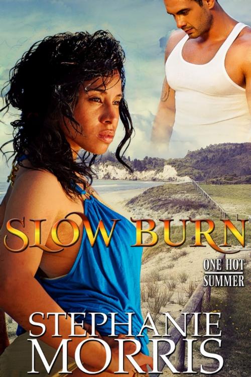 Cover of the book Slow Burn by Stephanie Morris, Carnal Imprint Publishing