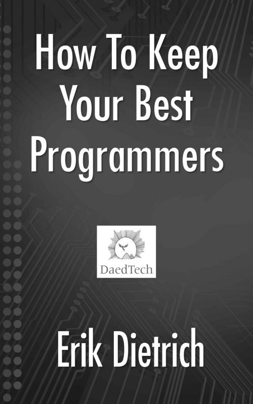 Cover of the book How To Keep Your Best Programmers by Erik Dietrich, BlogIntoBook.com