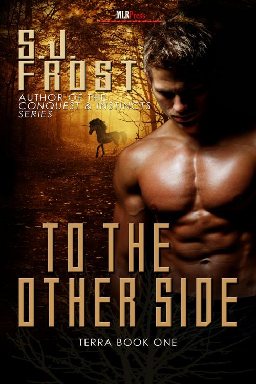 Cover of the book To The Other Side by S.J. Frost, MLR Press