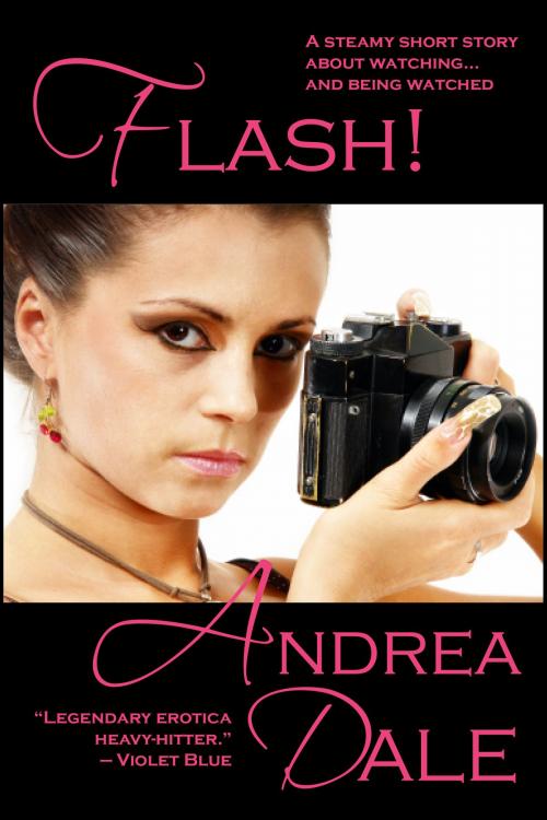 Cover of the book Flash! by Andrea Dale, Soul's Road Press