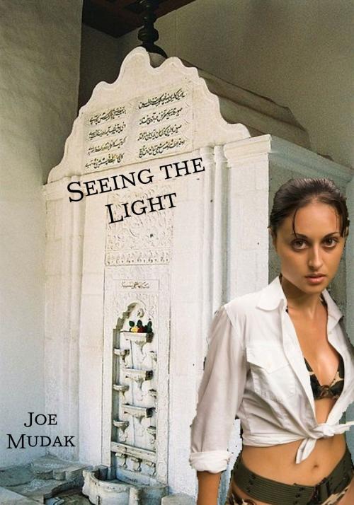 Cover of the book Seeing the Light by Joe Mudak, Joe Mudak