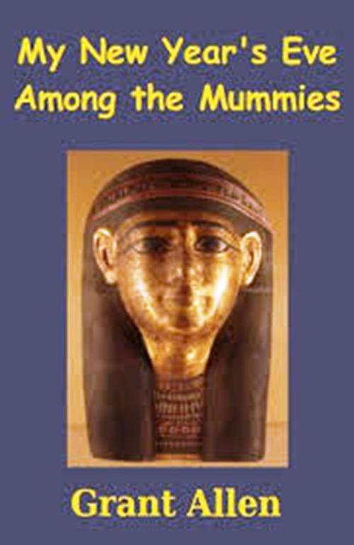 Cover of the book My New Year's Eve Among the Mummies by Grant Allen, WDS Publishing